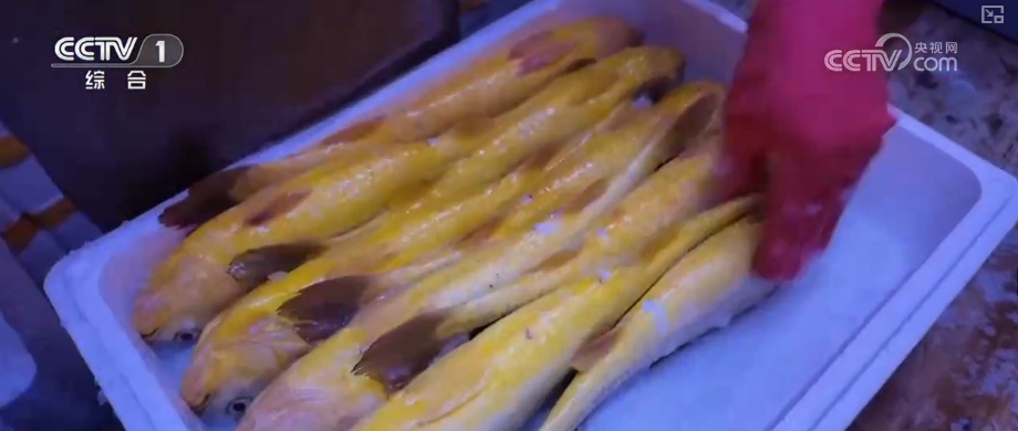 从节日氛围到舌尖美味 假日经济红红火火让消费活力持续迸发