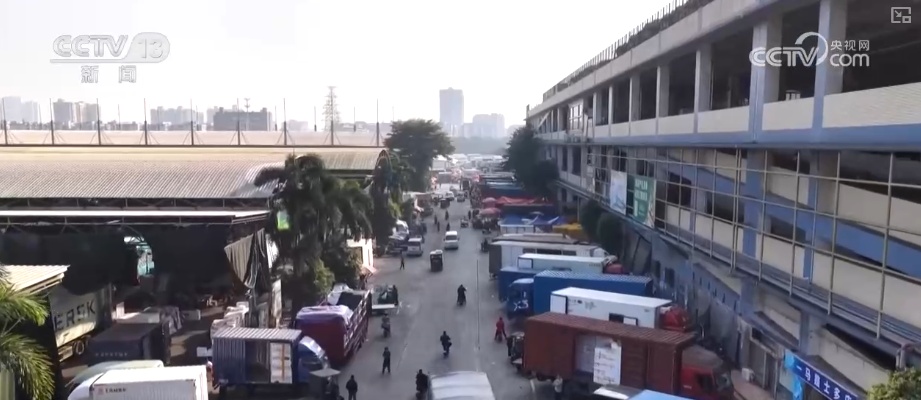 车厘子、榴莲、菜心、芥蓝，交易旺！百姓假日“菜篮子”“果盘子”价稳量丰