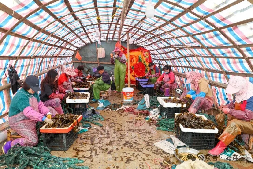 11万亩！全国40%来自福州这里