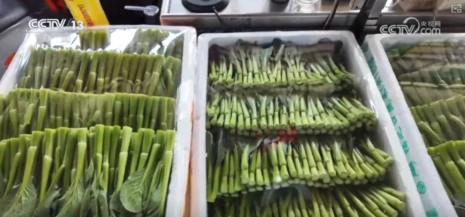 车厘子、榴莲、菜心、芥蓝，交易旺！百姓假日“菜篮子”“果盘子”价稳量丰