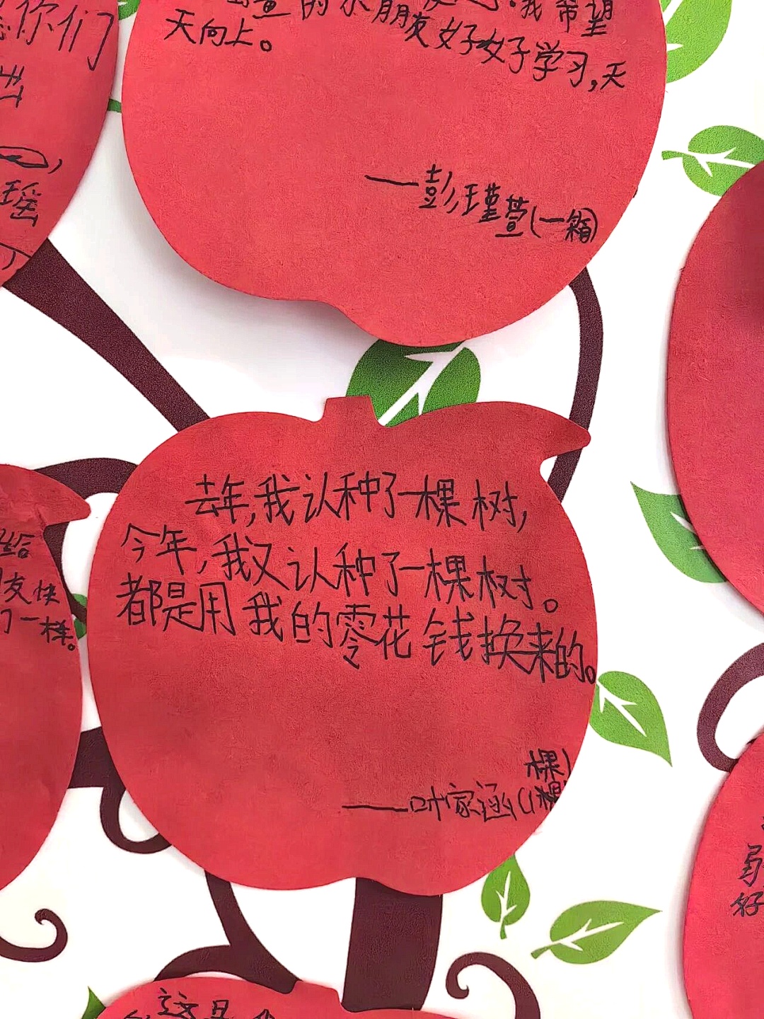 从东海到天山，点赞这些浙江学生的爱心！