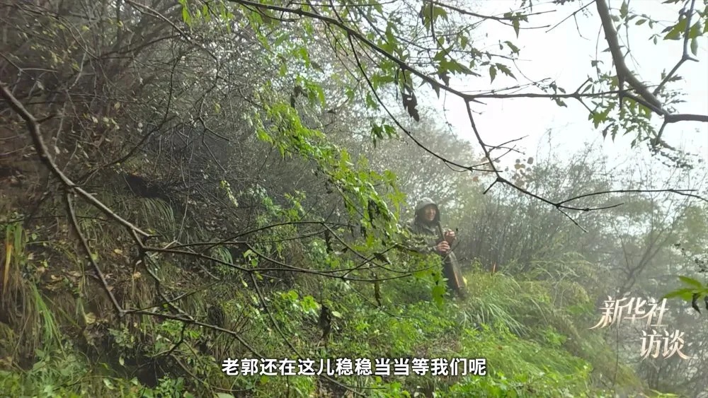 “知道了他的长相，就永远不会忘记他”