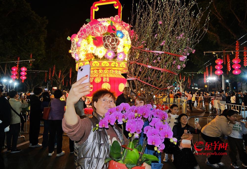 2026广州荔湾迎春花市开锣时间官宣！设231个档口
