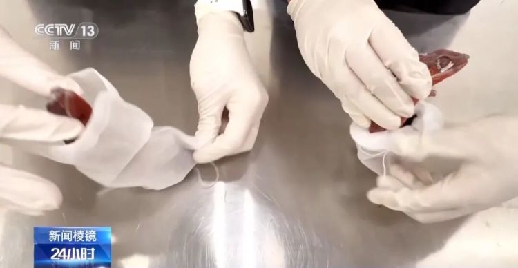 携带大量病毒细菌！深圳近期查获多起