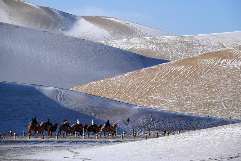 请查收！这份“冬日限定版敦煌”的正确打开方式