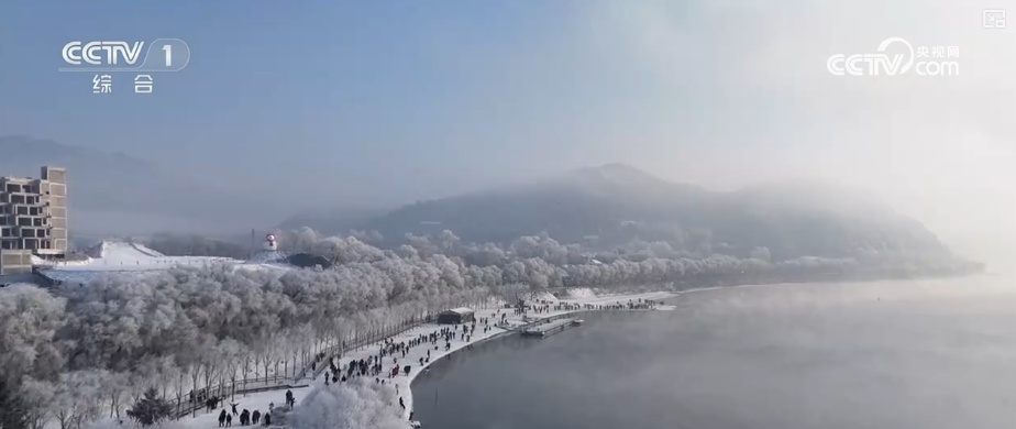 北方赏冰雪、南方有花开 元旦假期临近冬季文旅市场需求旺盛“热气”升腾