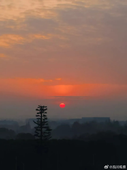 成都超绝橘子味儿日出