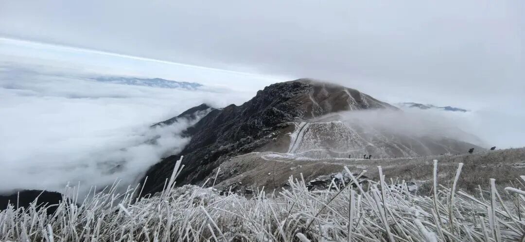 今冬江西的第一场雪，太 美 了！