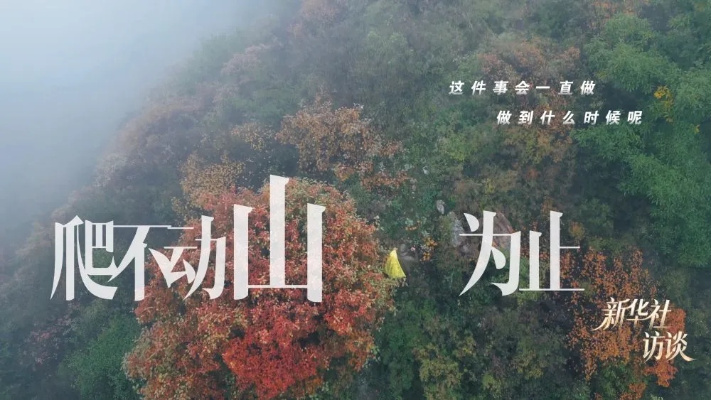 “知道了他的长相，就永远不会忘记他”