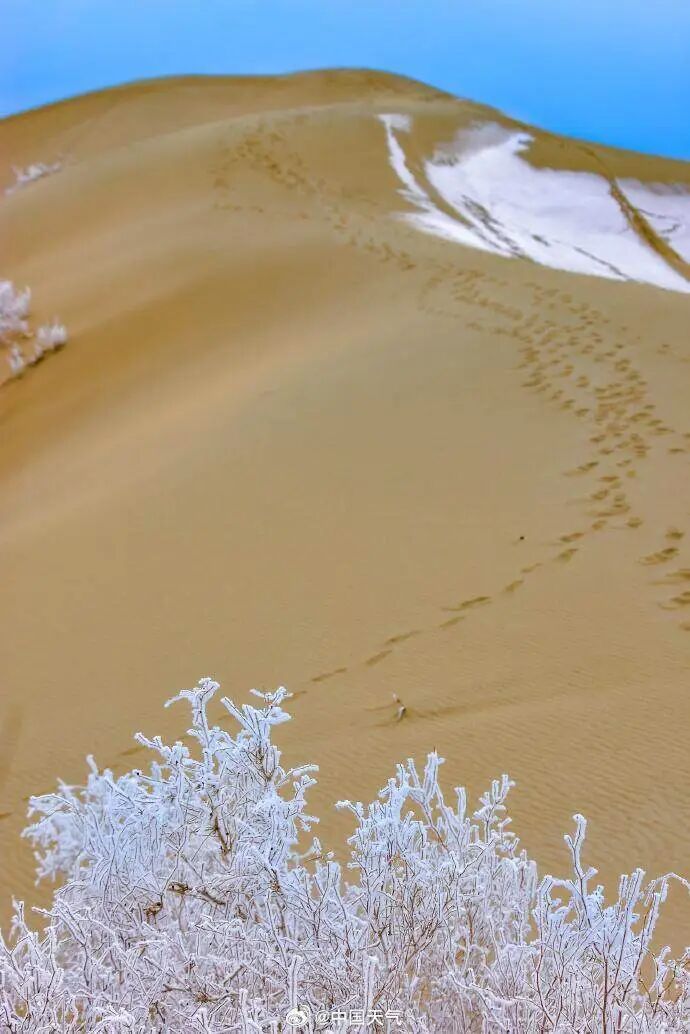 气温“过山车”来了！北方速降，南方迎湿冷“魔法攻击”