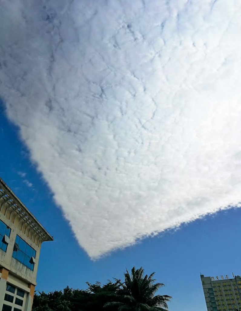 气温“过山车”来了！北方速降，南方迎湿冷“魔法攻击”