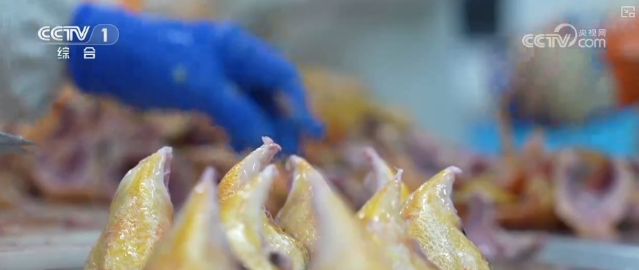 从节日氛围到舌尖美味 假日经济红红火火让消费活力持续迸发