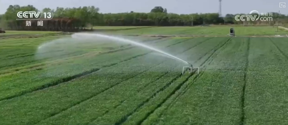 “数”说耕地灌溉面积与粮食产量稳步增加 粮食安全根基更稳