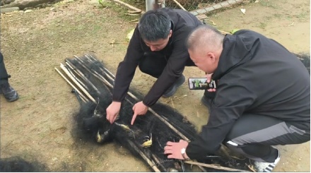 它不是“天上人参”！涉案金额超3900万元大案告破