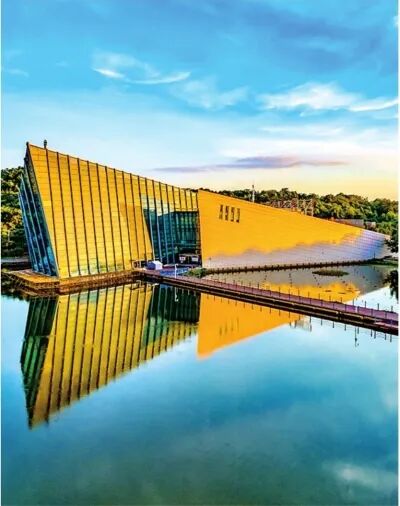 武汉1300年古树，“发量”创纪录