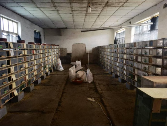 一张不起眼的废弃快递单，竟牵出涉案3900余万元的惊天大案！