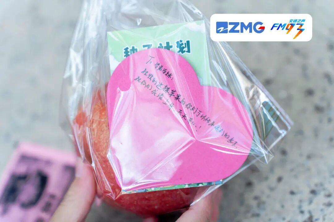 从东海到天山，点赞这些浙江学生的爱心！