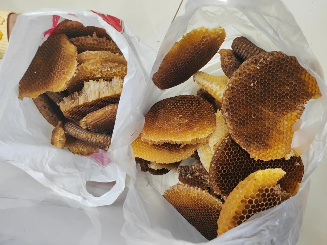 不常开伙的厨房，竟藏着1.5米蜂巢，大连孙先生遭遇意外“蜂”情