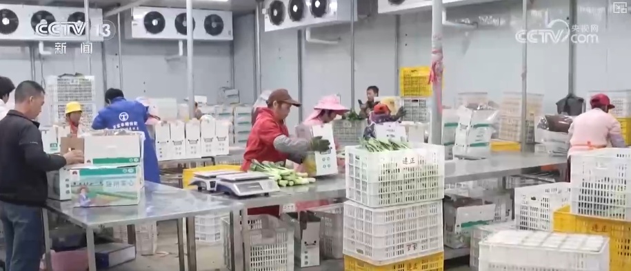 车厘子、榴莲、菜心、芥蓝，交易旺！百姓假日“菜篮子”“果盘子”价稳量丰