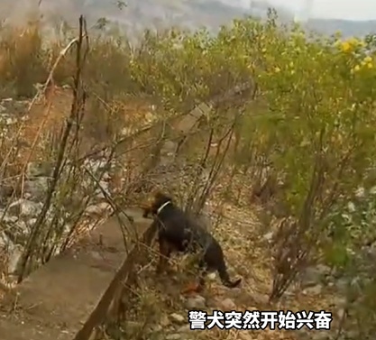 “人在这里！” 四十余小时守望相助的生命回响