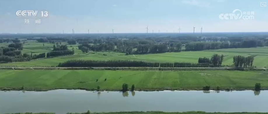 “数”说耕地灌溉面积与粮食产量稳步增加 粮食安全根基更稳