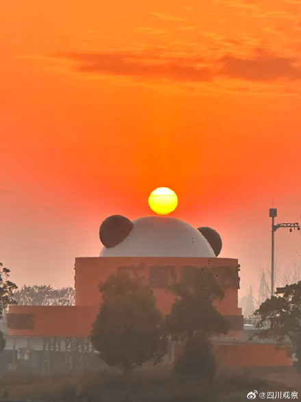 成都超绝橘子味儿日出