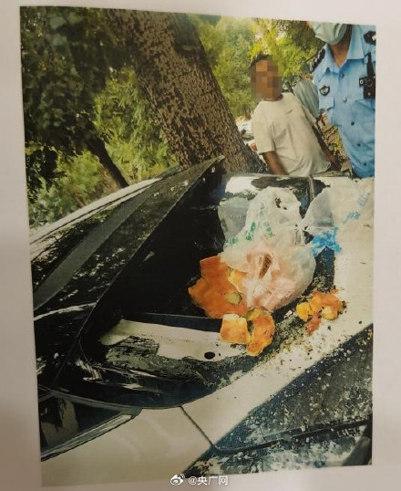 六旬老太高空抛垃圾砸坏车被罚四千 六旬老太高空抛垃圾砸坏车被罚四千