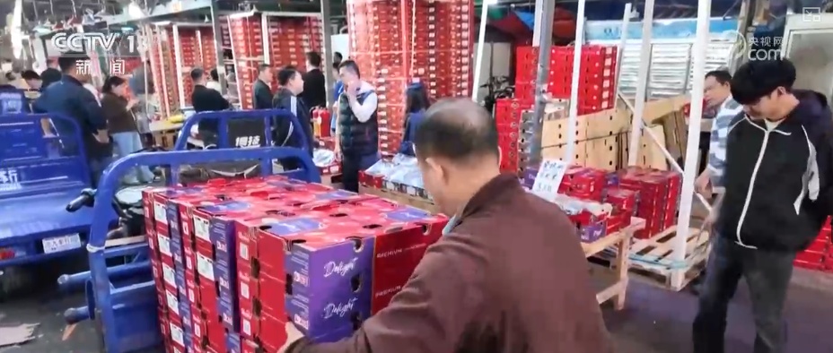 车厘子、榴莲、菜心、芥蓝，交易旺！百姓假日“菜篮子”“果盘子”价稳量丰