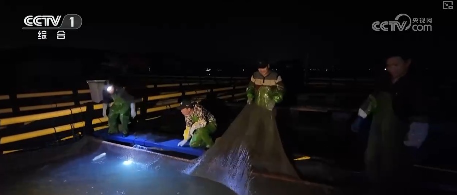 从节日氛围到舌尖美味 假日经济红红火火让消费活力持续迸发