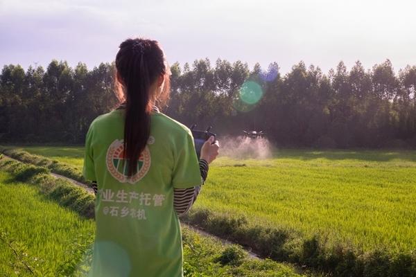 代遛犬猫、陪外国游客观鸟、操控无人机——为何越来越多年轻人青睐新职业