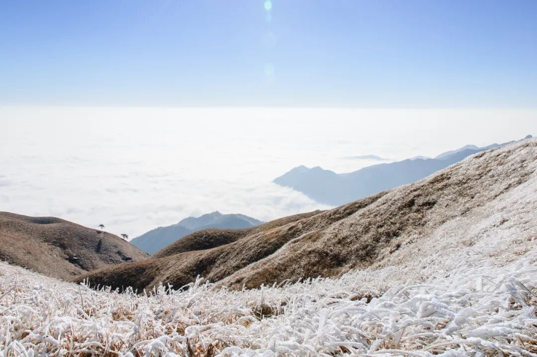 今冬江西的第一场雪，太 美 了！