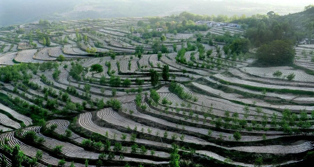 下一站，延安！