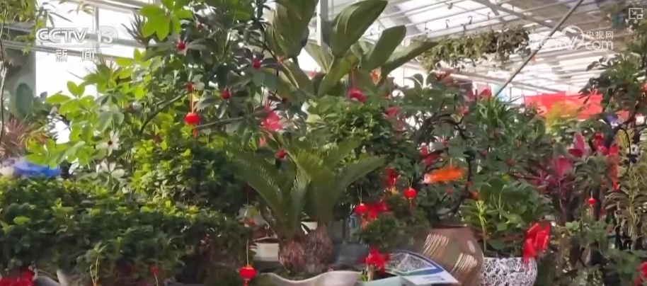 元旦将至消费热潮节节攀升 市场价稳物丰满足消费者多样化、个性化需求