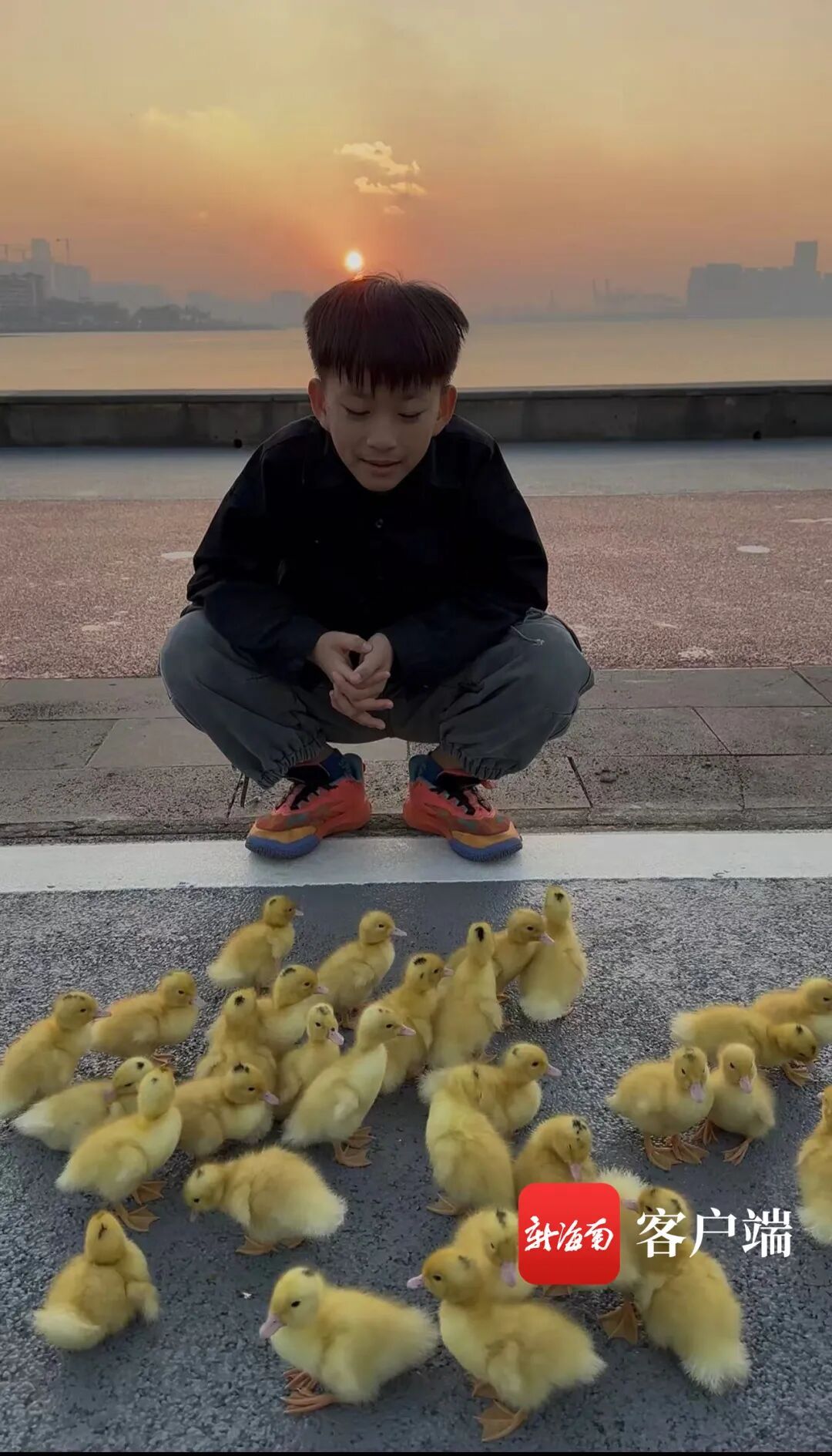 小孩哥街头当“鸭司令”圈粉397万！驯宠心得揭秘→