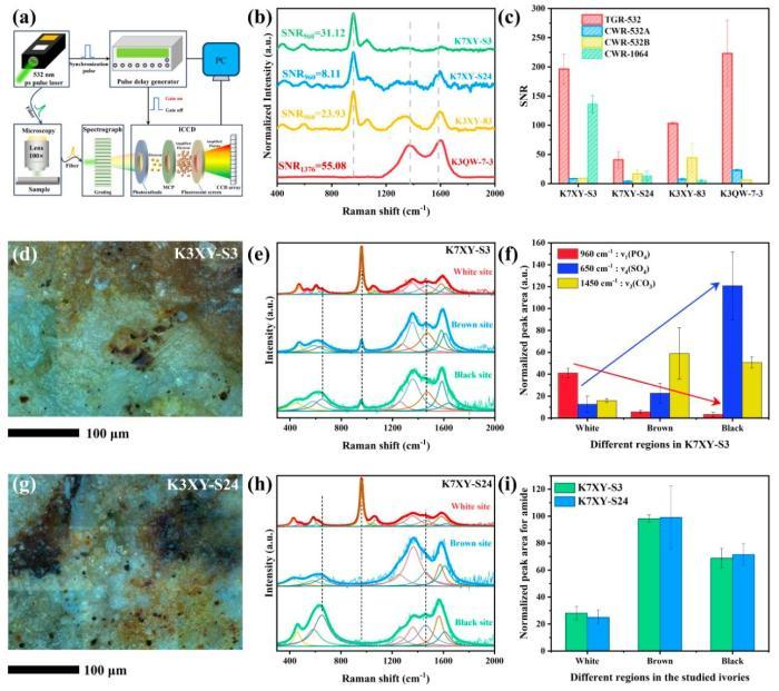 三星堆象牙地下三千年如何老化？中国团队研制光谱仪无损解析