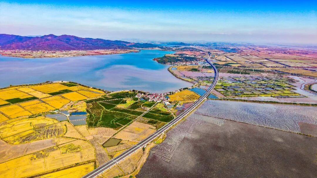 今天，安徽三条高速公路正式通车！