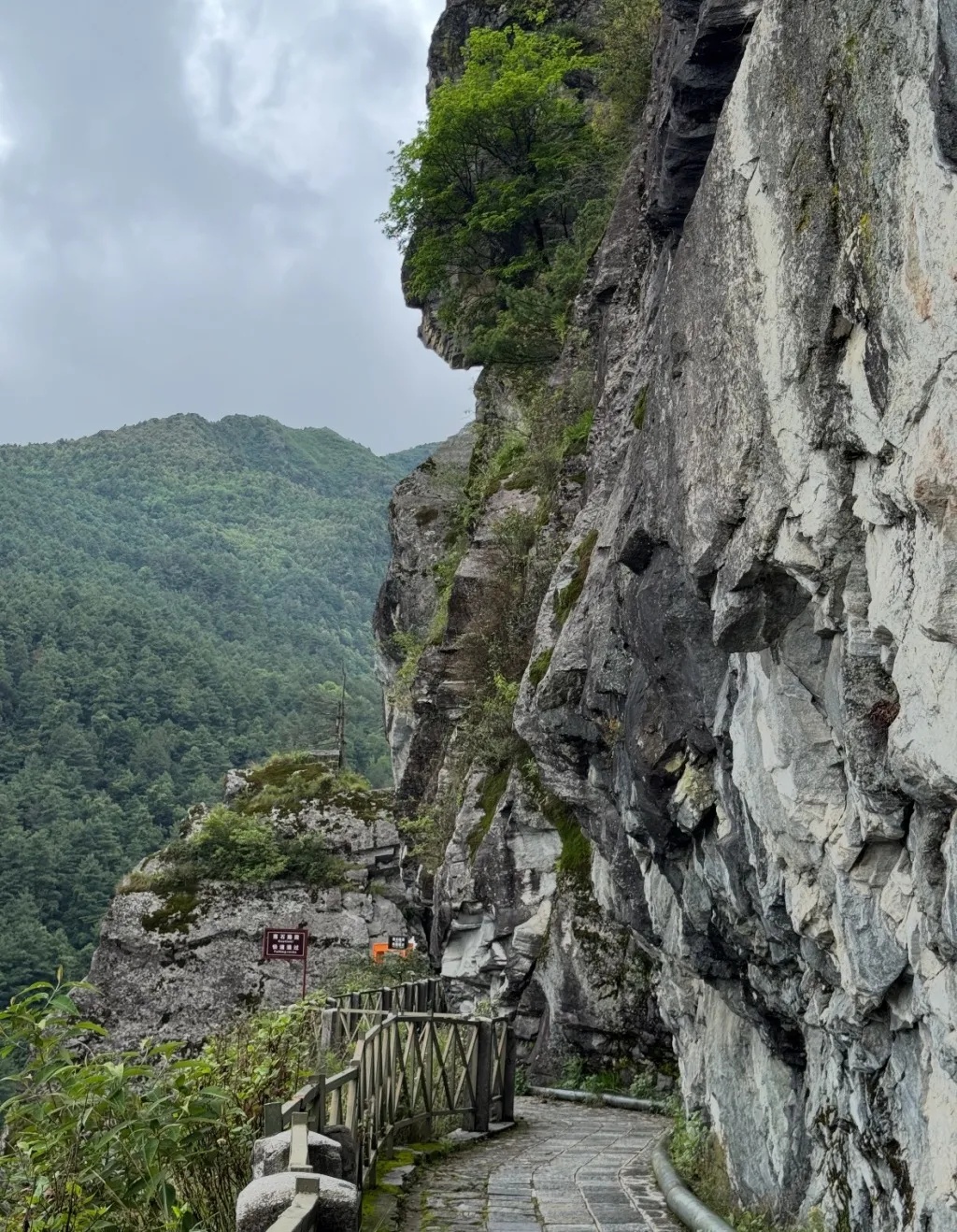大理苍山一名20多岁男子疑自缢身亡，官方：确有此事，正调查处置