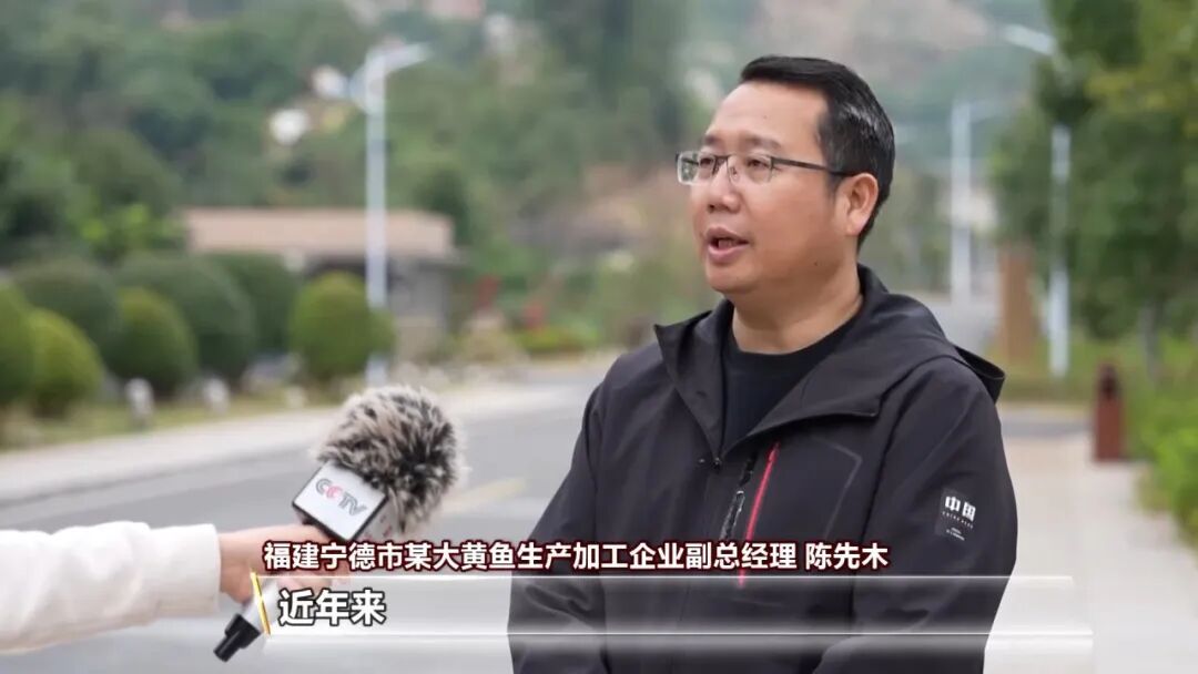 气氛拉满了！元旦不知道去哪儿？好去处上新！