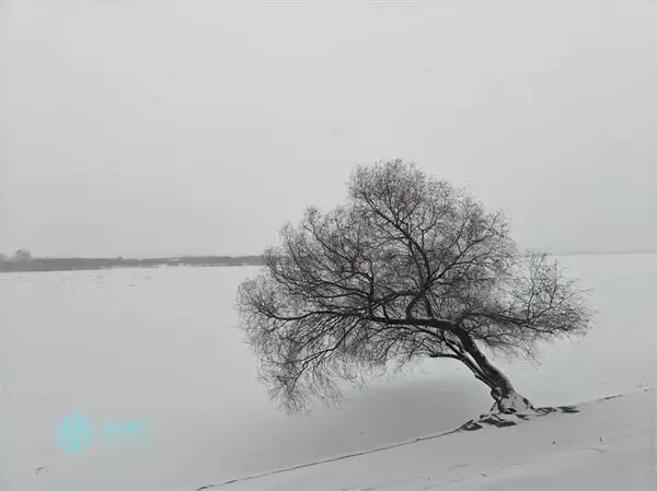 回暖模式开启，冰城本周末最高气温或升至-1℃