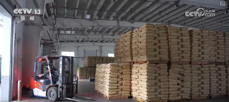 企业省心、省钱！多式联运“一单制”运输与全程物流总包从境内向境外延伸