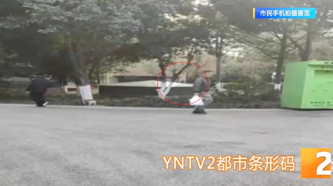 危险！老人弹弓打鸟喂老鹰？邻居：劝阻遭辱骂，流浪猫狗也没放过！