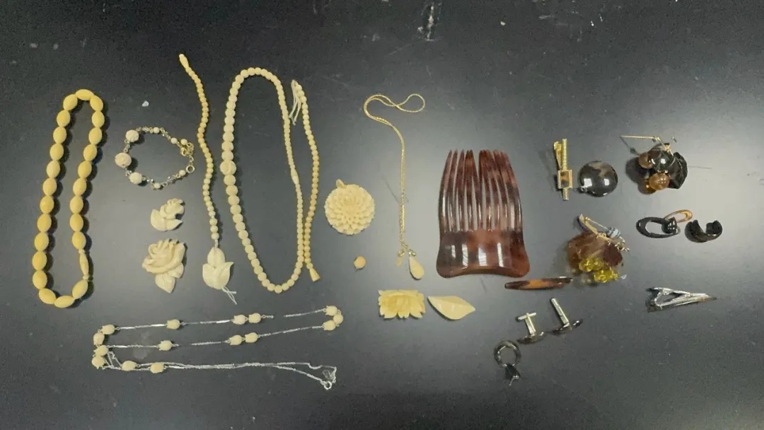 广州海关查获23件濒危动物制品