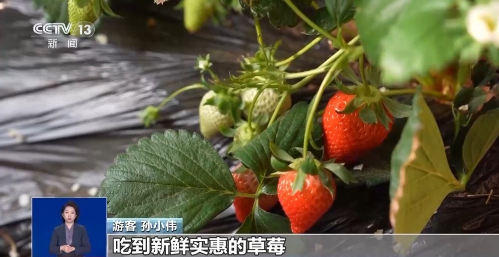 逛非遗大集、采新鲜水果 元旦消费市场“热”力十足