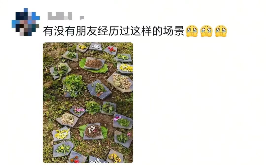 “这个游戏是怎么做到全国统一的？”网友：笑着笑着就哭了