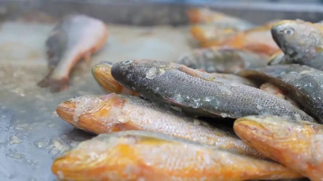 气氛拉满了！元旦不知道去哪儿？好去处上新！