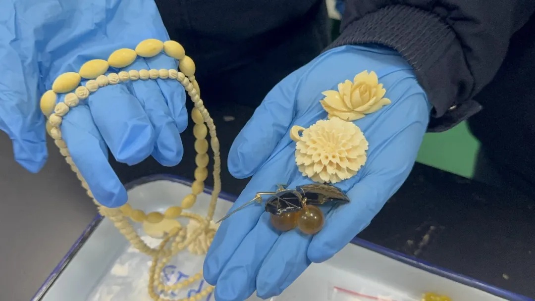 广州海关查获23件濒危动物制品