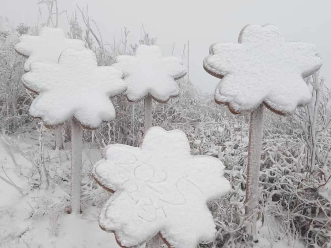 2026第一场雪！大范围影响江苏