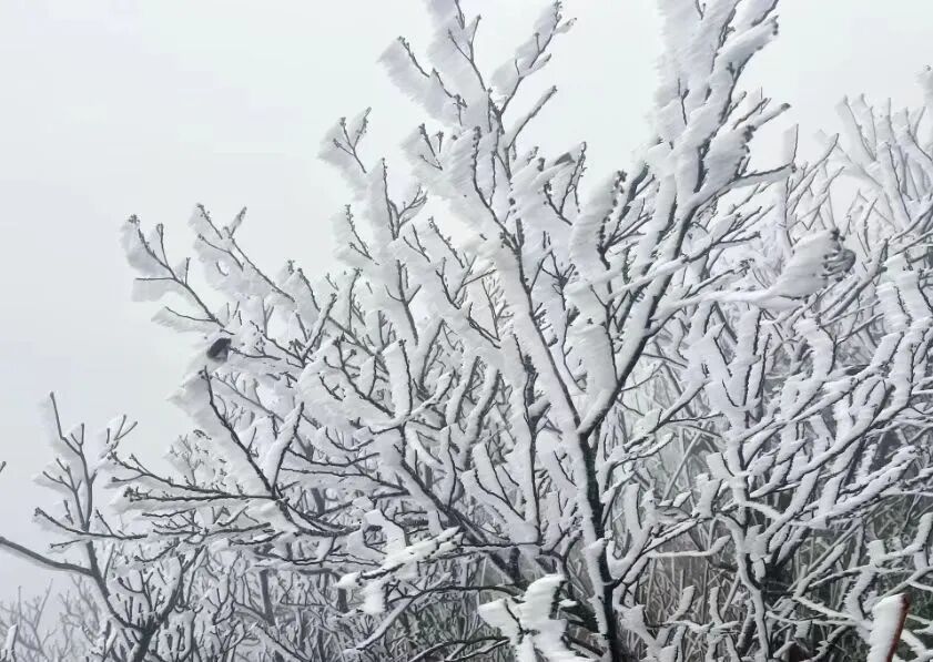 广东多地气温“跳水”，元旦还将有冷空气“到货”