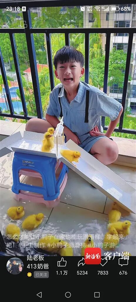 小孩哥街头当“鸭司令”圈粉397万！驯宠心得揭秘→