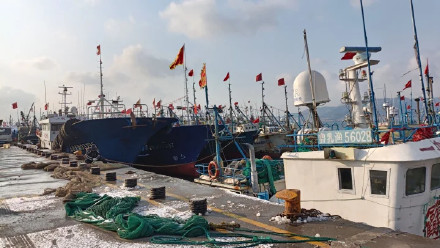 威海石岛：知天而作 渔船回港避风